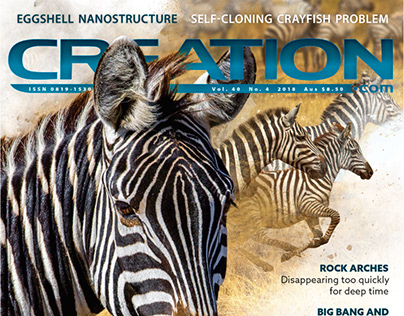 Creation 40(4) Cover