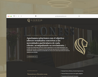 LIONESS CONSULTORA — Sitio web