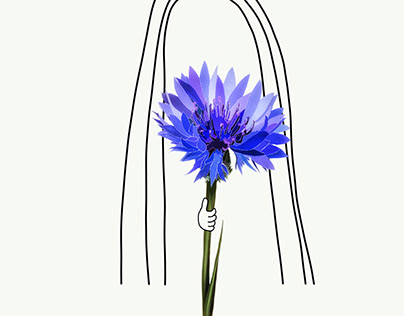 the girl with the cornflower
