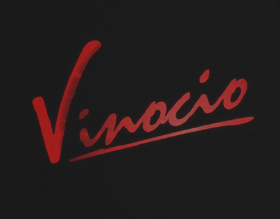Vinicio - Logo Animation