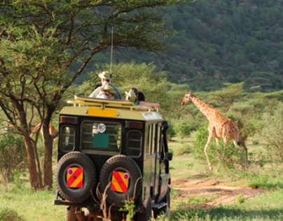 Luxury Africa Wildlife Safaris