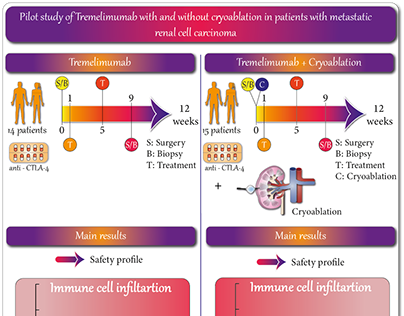 Graphical abstract of a pilot study in renal cancer