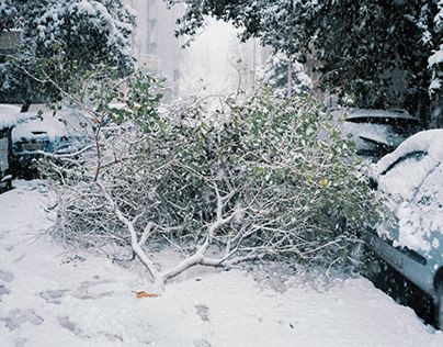 Snowstorms On Film