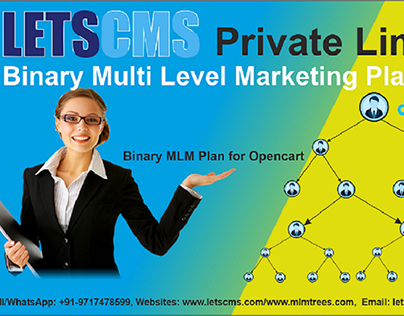 Binary MLM Plan | Multi Level Marketing Plan Ecommerce