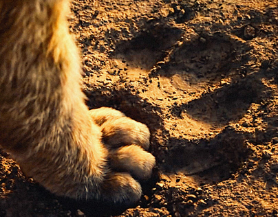 Lion King (2019) Film Poster