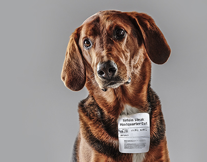 Humane Society International ads against dog meat trade