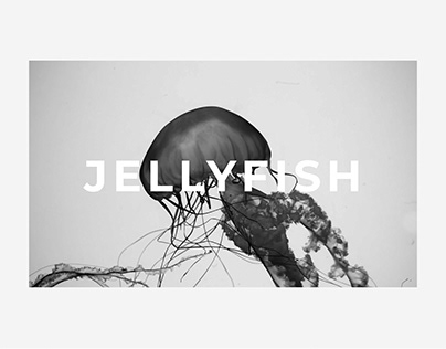 Landing Page for Jellyfish Museum