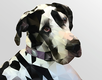 Polygonal Pet Portraits