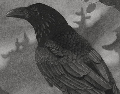 Raven of Quadra