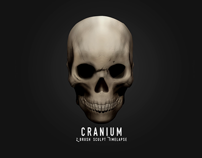 Cranium (Sculpt Practice)