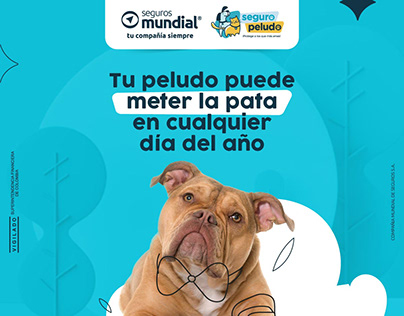 Seguro Peludo "Meter La Pata" Ads Campaign