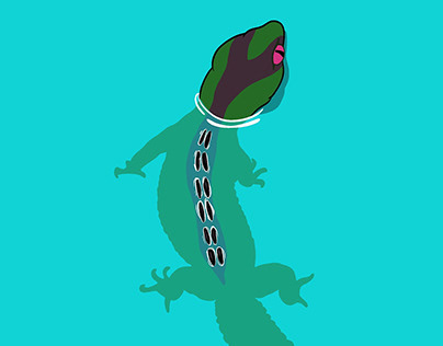 Salamander Color Studies