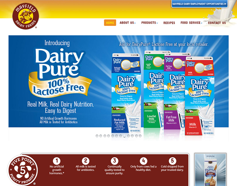 Mayfield Dairy website 