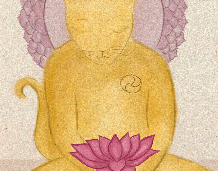 Meditacion equilibrio y chakras illustration