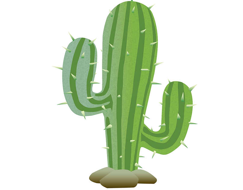 12 cactus.