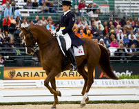 2010 World Equestrian Games images