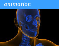 14 - X-Ray Animation