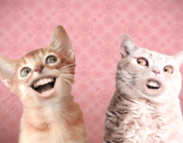 Animated Spoof Music Video: Numa Cat