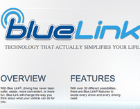 Hyundai BlueLink - Microsite