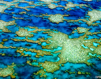 Aerial View Great Barrier Reef and Whitsunday Islands