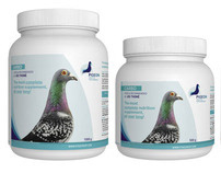 Pigeon Health & Performance