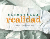 Bienvenida Realidad Website