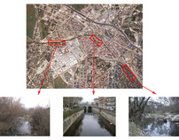 Analyzing the quality of an urban riparian forest