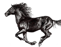 Horse 2