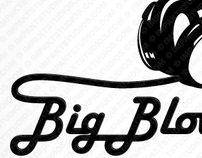 Branding :: Big Blow Studios