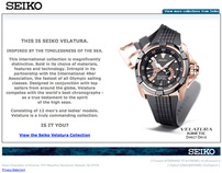 Seiko B2C Email Campaign