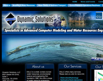 Dynamic Solutions web site