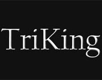 TriKing Trikes - Logo & Graphic Design