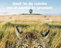 WWF Iberian lynx giftmaling