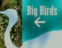 Big Bird Exhibit, Bronx Zoo, Bronx New York