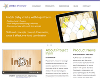 Project Injini: iPad Learning Game for NCsoft (S.Korea)