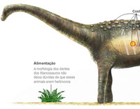 Tapuiassauro, the newly discovered dinosaur of Brazil