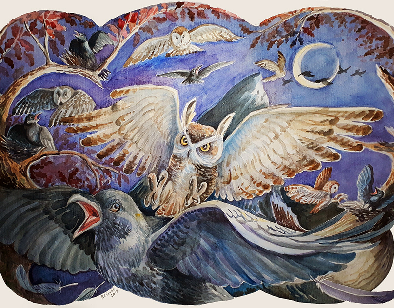 Crows and Owls Illustration