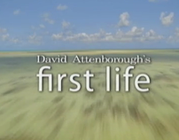 First Life | David Attenborough | Documentary