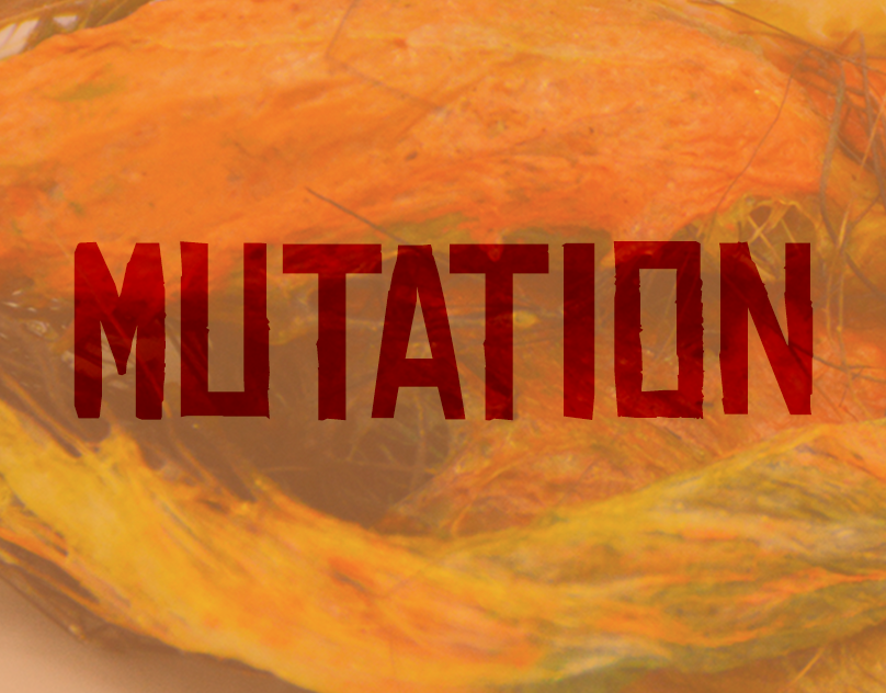 PROJET MATÉRIAU : mutation