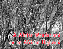 A Winter Wonderland on an African Highveld