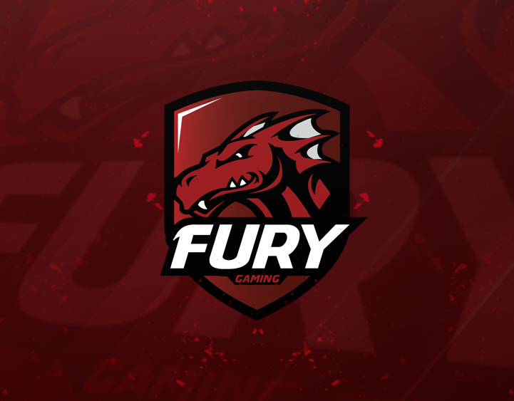 Fury Gaming Logo & Jersey Design.