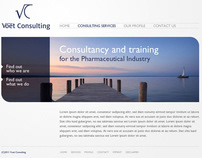 Voet Consulting Website