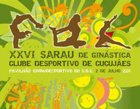 cartaz sarau ginástica 2011 | gymnastic poster 2011