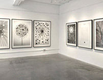 Stolen Space Gallery - London - 2011