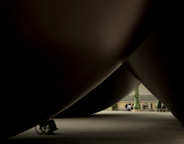 Monumenta 2011 - Anish Kapoor - Photography Assignment