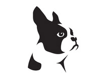 Identity for the Boston Terrier Rescue