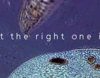 the right one: time-based media project