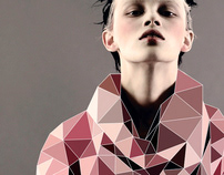 Fashion with Cubic Forms