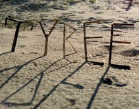 We Love Tybee