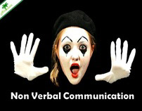 Non Verbal Communication
